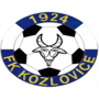 team-logo