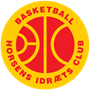 Horsens IC