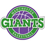 Manchester Giants