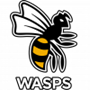 Wasps