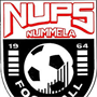 team-logo