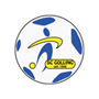team-logo