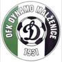 team-logo