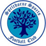 team-logo