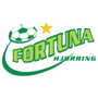 team-logo