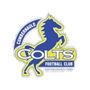 team-logo