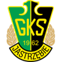 team-logo