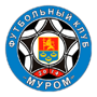 team-logo