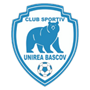 team-logo