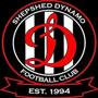 team-logo