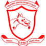 team-logo
