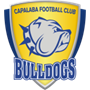 team-logo