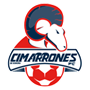 team-logo