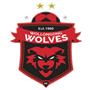 team-logo