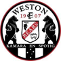 team-logo