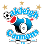 team-logo