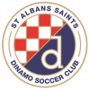 team-logo