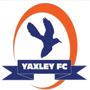 team-logo