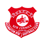 team-logo
