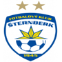 team-logo