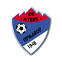 team-logo