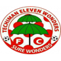 team-logo