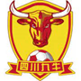 team-logo