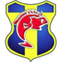 team-logo