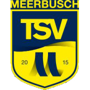 team-logo
