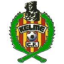 team-logo