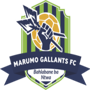 team-logo