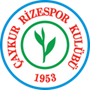 team-logo