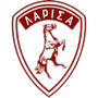team-logo
