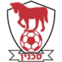 team-logo