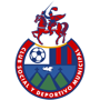team-logo