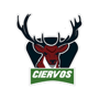 team-logo