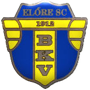 team-logo