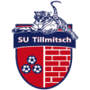 team-logo