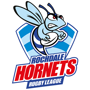 Rochdale Hornets