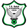 team-logo