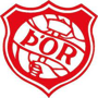 team-logo