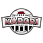 team-logo