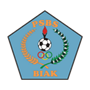 team-logo