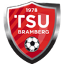 team-logo