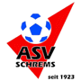 team-logo