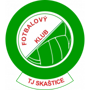 team-logo