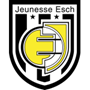 team-logo