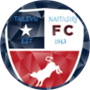 team-logo