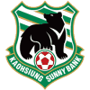 team-logo