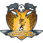 team-logo